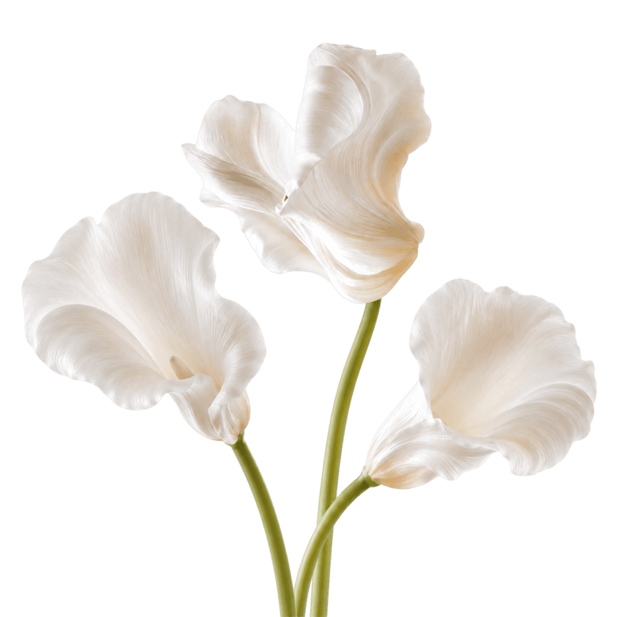 Floral Accent